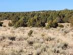 Pie Town, Catron County, NM Recreational Property, Undeveloped Land for sale