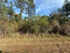 0 WILMER GEORGETOWN ROAD, Wilmer, AL 36587 Land For Sale MLS# 7312068