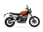 2024 Triumph SCRAMBLER XE