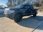 2010 Ford F-150 Platinum 4x4 4dr SuperCrew Styleside 6.5 ft. SB