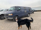 1995 Dodge Ram Van 3500 Maxi