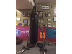 Century 80 lb heavy bag & Everlast stand