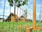 PRE-ORDER FOR CHRISTMAS- Portable CHICKEN FENCE POSTS for Detroit area
