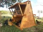 Sturdy but not too heavy-Beautiful Portable A-Frame Chicken Coops For Sale