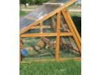 Duck coop for sale- Portable and Protective- cheap delivery to Austin area