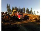 Timber Logging TREES, 1-800-LOG ALOT, Clinton, Whidbey Island