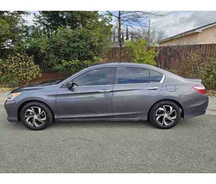 2017 Honda Accord for sale is a Grey 2017 Honda Accord Car for Sale in Sacramento CA