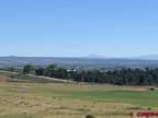 17 9 G Loop Lot 11 Cortez, CO -