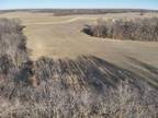 Palmyra, Marion County, MO Undeveloped Land for sale Property ID: 418919403