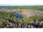 Jena, Greene County, AL Recreational Property, Timberland Property