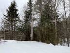 Plot For Sale In Mount Holly, Vermont