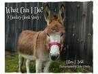 Adorable Donkey Books from Best-Selling Author Ellen Feld