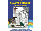 Love Quarter Horses?