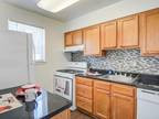 Awesome 1 Bed 1 Bath $1335/mo