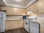 Outstanding 1 Bed 1 Bath $997 Per Mo