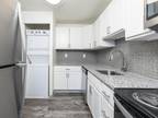 Outstanding 1 Bed 1 Bath For Rent $1030/mo