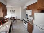 1BD 1BA For Rent