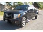 Used 2009 FORD F150 For Sale