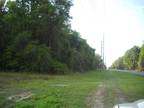 Lot 13 State Rd 349N, Old Town, FL 32680 MLS# 784096