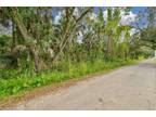 21941 Edwards Drive, Alva, FL 33920