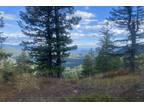 Plot For Sale In Naples, Idaho