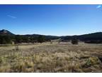 Plot For Sale In Bailey, Colorado