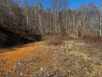 Plot For Sale In Cedar Bluff, Virginia