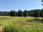 Plot For Sale In Cascade, Idaho