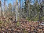 Plot For Sale In Gladwin, Michigan