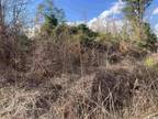 Johnsonville, Florence County, SC Undeveloped Land, Homesites for sale Property