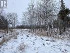 Blk C Buckland Lot, Buckland Rm No. 491, SK, S6V 5R3 - vacant land for sale