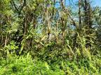 LEHUA RD, PAHOA, HI 96778 Land For Rent MLS# 707804