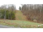 Blossburg, Tioga County, PA Undeveloped Land for sale Property ID: 418859908
