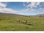 Farm House For Sale In Almont, Colorado