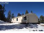 287 Anderson Rd, Divide, CO 80816