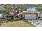 12224 Wildbrook Dr, Riverview, FL 33569