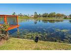 5309 Riddle Rd, Holiday, FL 34690