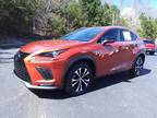 2021 Lexus NX 300 F SPORT