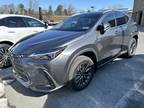 2023 Lexus NX 350 Premium