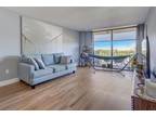 Condo For Sale In North Miami, Florida