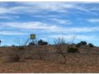 Plot For Sale In Bronte, Texas