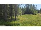 LOT 1 TRAILS END RD, Athol, ID 83801 Land For Sale MLS# 23-10431