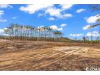 Loris, Horry County, SC Undeveloped Land, Homesites for sale Property ID: