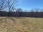 Plot For Sale In Spring Valley, Illinois