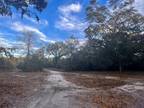 Old Town, Dixie County, FL Undeveloped Land for sale Property ID: 418634280