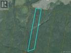 19.1 Hec. Route 460, Tabusintac, NB, E9H 1C5 - vacant land for sale Listing ID