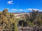 113 Promise Ln Lots 22 And 23 Capitan, NM -