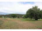 Plot For Sale In Cedaredge, Colorado