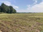 Elkmont, Limestone County, AL Undeveloped Land for sale Property ID: 418697412