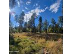 Plot For Sale In Pinedale, Arizona